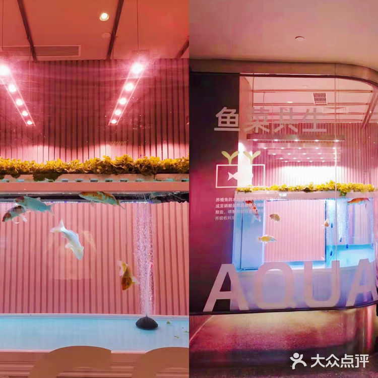 广州花城汇🌶亲子活动科技农场🥬农都里