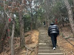 -灵顺寺