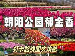-朝阳公园