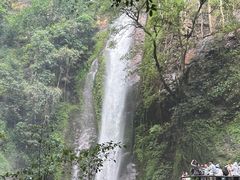 -莫里热带雨林景区