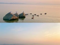 -深圳湾公园(南山区)