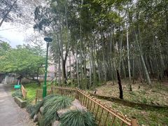 -杭州植物园