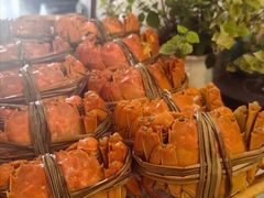 -阳澄湖半岛旅游度假区