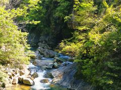 -大鄣山卧龙谷景区