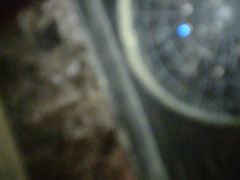 -秃鹫湾·推理大师沉浸式实景演绎推理剧场