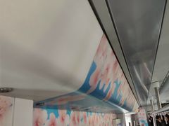 -循礼门鲜花花市(武汉循礼门店)