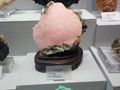 -湖南省地质博物馆