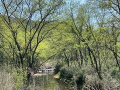 -北仑森林植物园