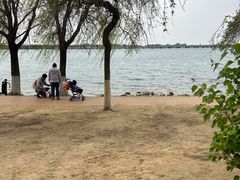 -丁香湖公园