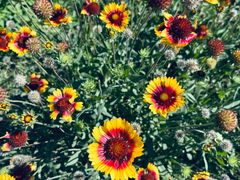 -敕勒川草原文化旅游区