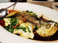 -维园悦谱·海派家常菜(乌鲁木齐南路店)
