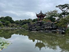 -顺峰山公园