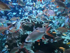 -成都浩海立方海洋公园