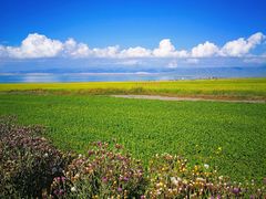 -青海湖国家重点风景名胜区