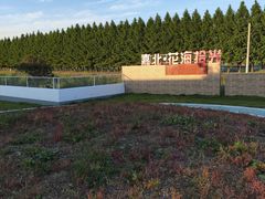-嘉北郊野公园