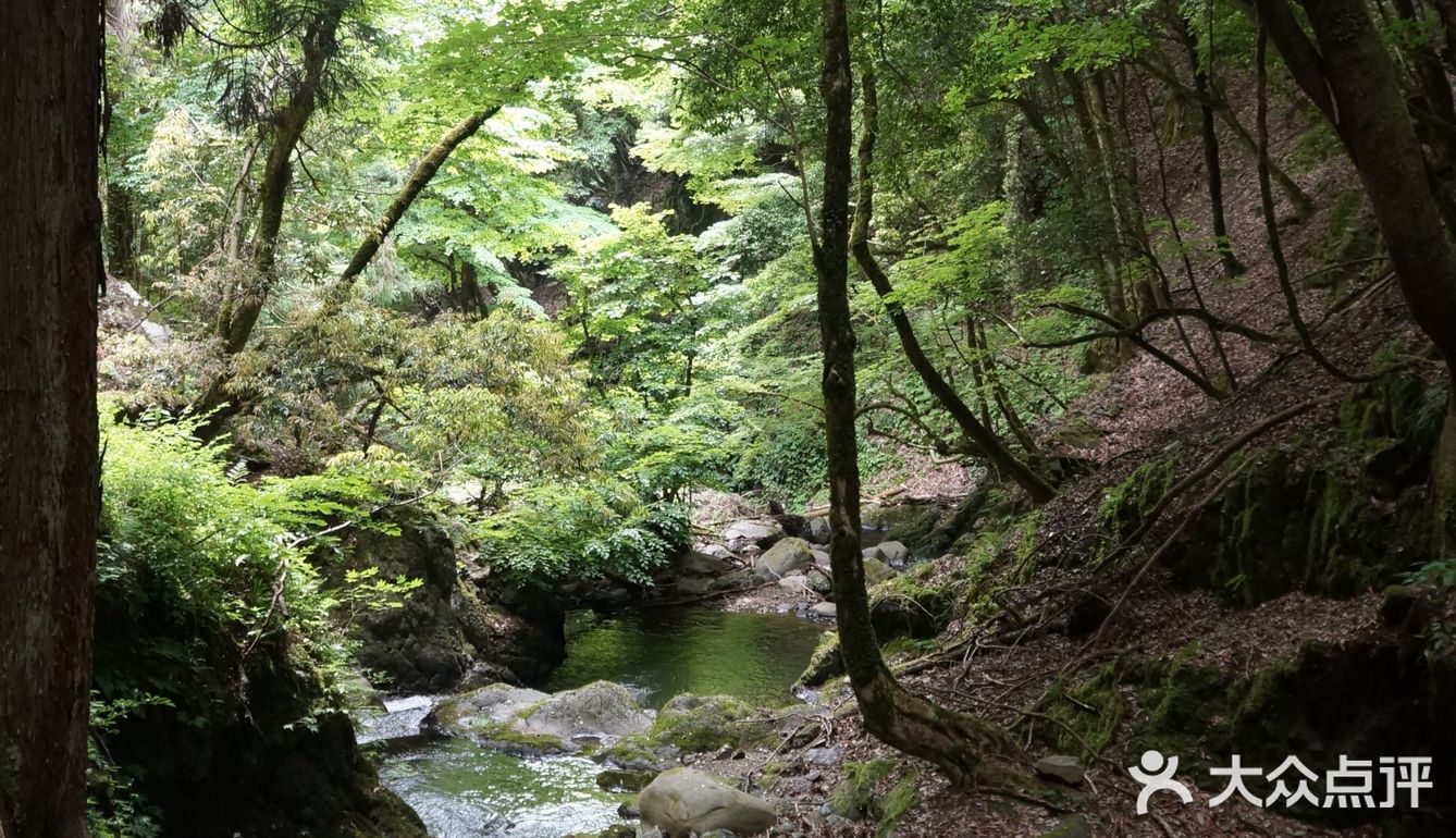 山脚下放有简易的登山杖,如果是对登山没信心的小伙伴