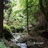 山脚下放有简易的登山杖,如果是对登山没信心的小伙伴