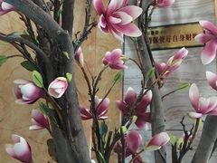 -津悦·正阳春烤鸭(红旗南路店)
