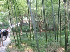-天目湖山水园