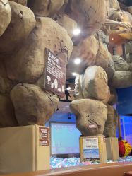 -卡通尼·Safari非洲探索乐园·生日会(金桥国际商业广场店)