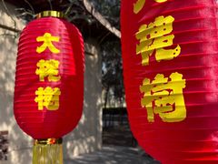 -大槐树寻根祭祖园