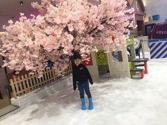 -Mr·Kuma酷么先生雪之乐园