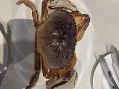 -青蓬蒸汽海鲜·深圳老字号·团建聚会(壹方城店)