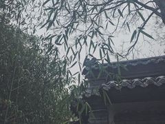 -老张烤羊(王哥庄店)