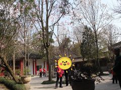 -武侯墓风景区