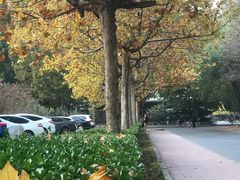 -对外经贸大学羽毛球馆