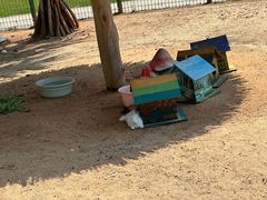 -三亚海棠湾万丽度假酒店