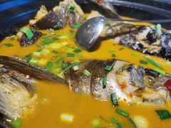 千岛湖鱼头-千岛湖小鱼儿·淳安匠心农家菜