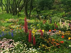 -上海共青森林公园