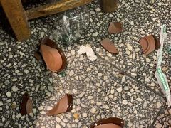 -巴人堂(女儿城店)