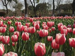 -玄武湖景区-情侣园游乐场