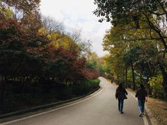 -南京市江宁方山