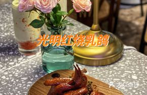 Tangerine Peel Braised Pigeon
