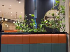 -刘胖子家常菜·蹄花焖藕(中南店)