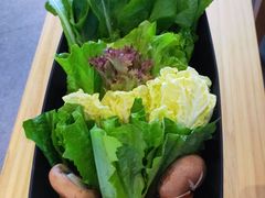 -马家斑.鲜鱼火锅(松湖万科店)