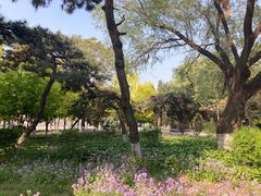 -东北大学(南湖校区)