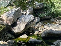 -黑龙潭风景区