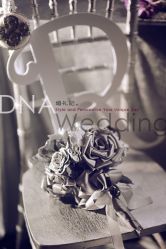 -DNA Wedding 婚礼记(上海店)