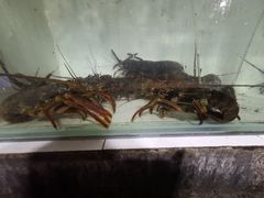 -海盗餐厅