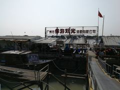-大湾区中央湿地公园-十九涌