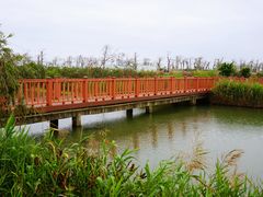-芒洲湿地公园
