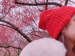 -重庆彩云湖湿地公园