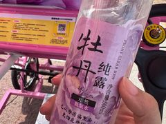 -曹州牡丹园