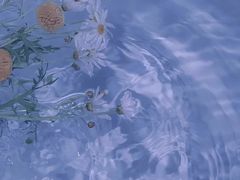 -素满香·素食自助餐(苏州·临顿路店)