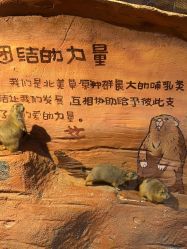 -奇幻萌宠部落(映月湖环宇城店)