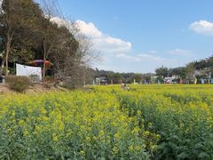 -红山村